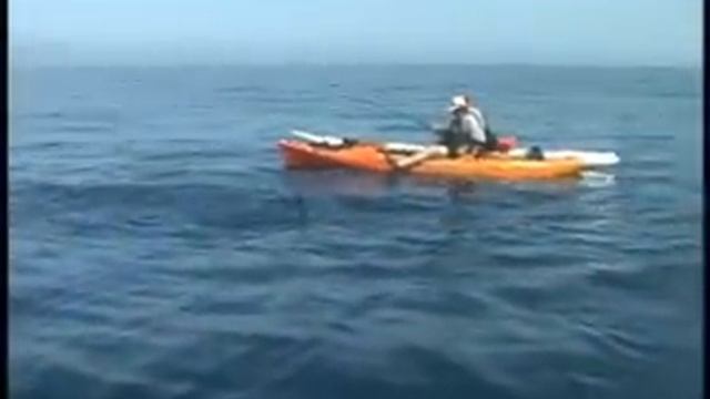 Kayak Fishing for Marlin in Baja смотреть онлайн