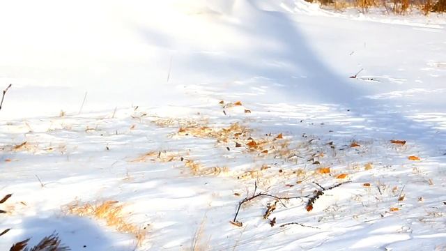 Видеозарисовка - База отдыха в Хакасии "Оленье озеро" смотреть онлайн