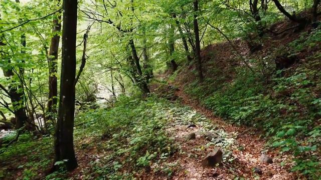 4K Video Ultra HD Природа 4 К Unbelievable Beauty смотреть онлайн