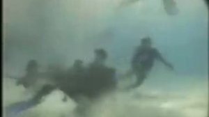 15/ The REAL Steve Irwin Death Video