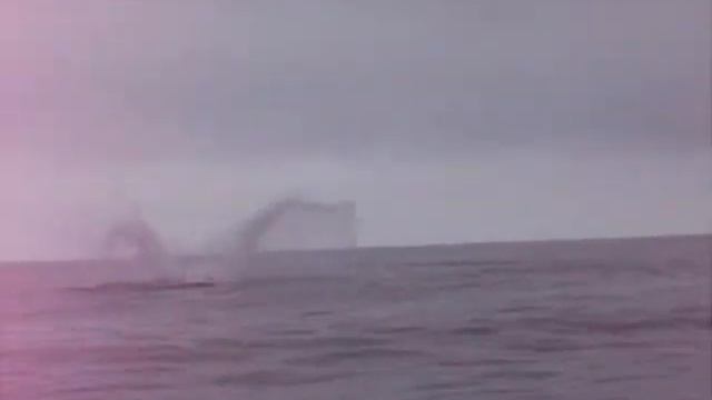 port renfrew fishing смотреть онлайн