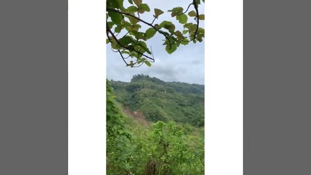 Kolponar cheyo bese (bandarban,nafakum,belakum) смотреть онлайн