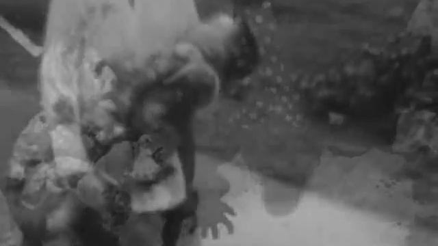 ZeitGeist no official demo смотреть онлайн