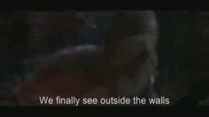 Квантовая физика и бессознательное. часть 3.mp4