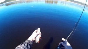 Спининнг Серебряный ручей Экстрим Лайн 1.2-9.5  тест на прочность