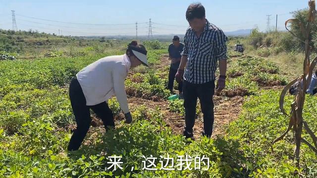 家里添两个劳动力，婆婆公然偏袒陈宏，姑嫂俩七嘴八舌有意见真逗 смотреть онлайн