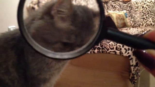 Бася проверяет зрение смотреть онлайн