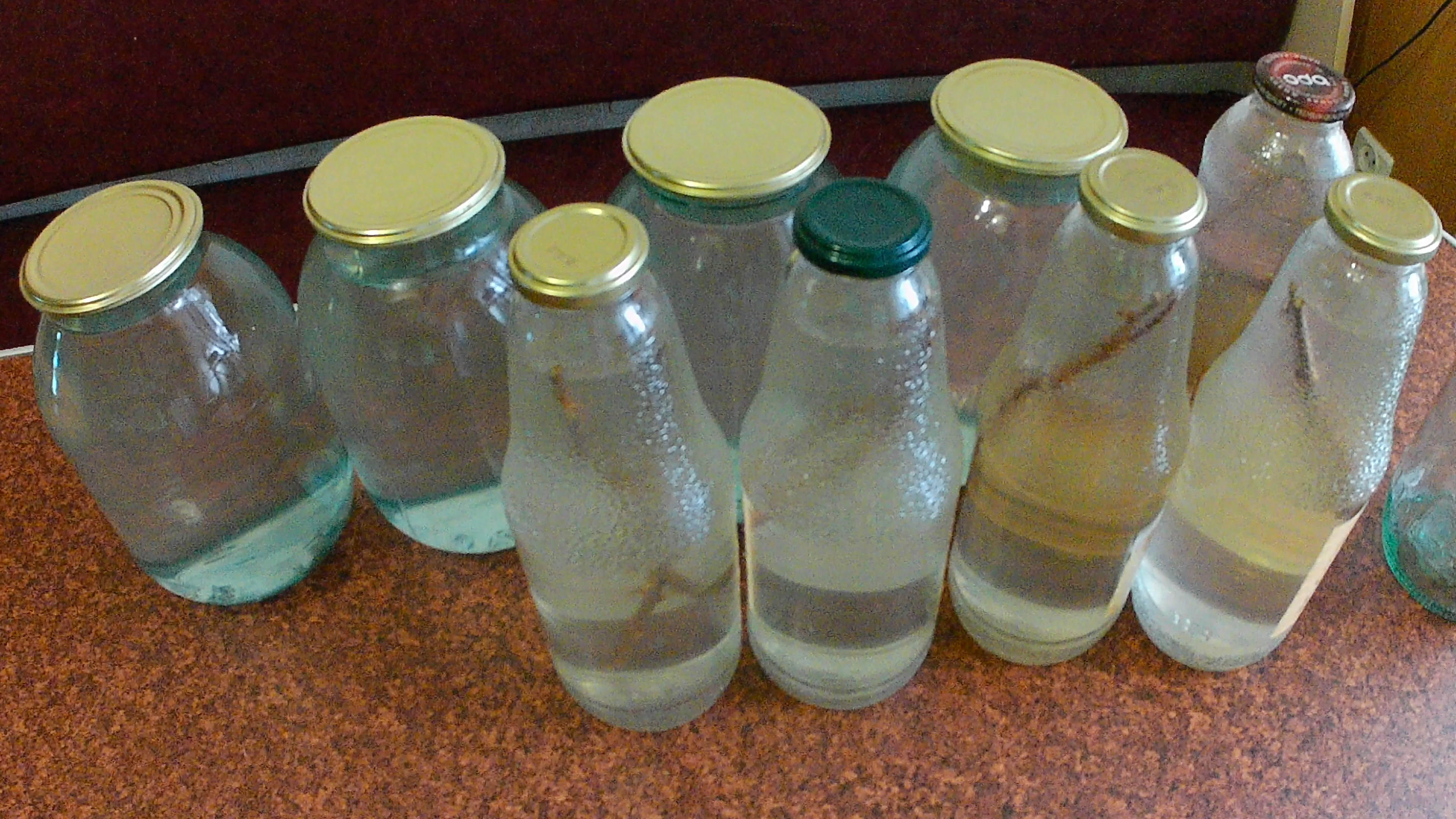 Как закатать берёзовый сок в домашних условиях. Самый простой рецепт смотреть онлайн