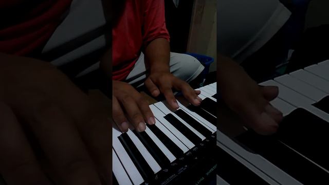 simple cover of ikimono gakari's bluebird flute on electronic keyboard смотреть онлайн