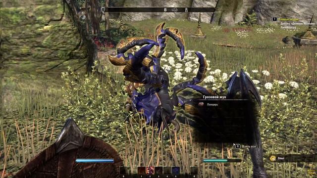 TESO - ТЕСО Темные знания