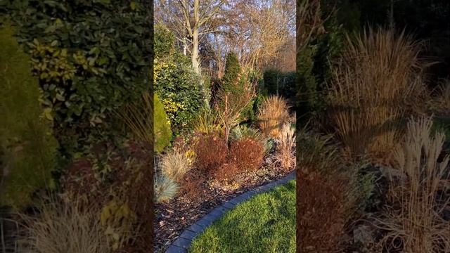 Мой сад в декабре ?? 2022?? Вечнозелёные растения, подпорные стенки, бордюры, места для отдыха... смотреть онлайн