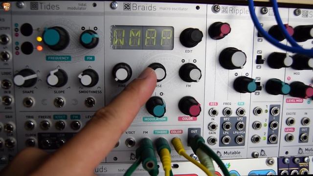 SELF PATCHED! Mutable Instruments Braids // Noisy retro games console weirdness смотреть онлайн