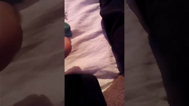 1 часть лего животных смотреть онлайн
