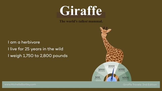 Learn All About Giraffes смотреть онлайн