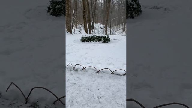 Ясная Поляна. Могила Льва Толстого смотреть онлайн