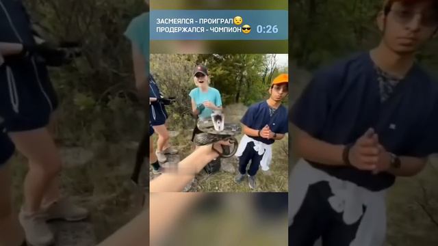 Смех до слез №33 - Лучшие Приколы 2024. Смешные Моменты, shorts, ютубшортс, смех, приколы смотреть онлайн