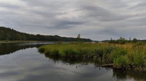 Рыбалка Карелия 2021, Сямозеро. Забудь про джиг! Только железо и троллинг!