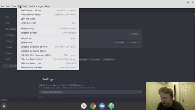 Install Atom IDE on Chromebook [ Linux on Chromebook ] смотреть онлайн