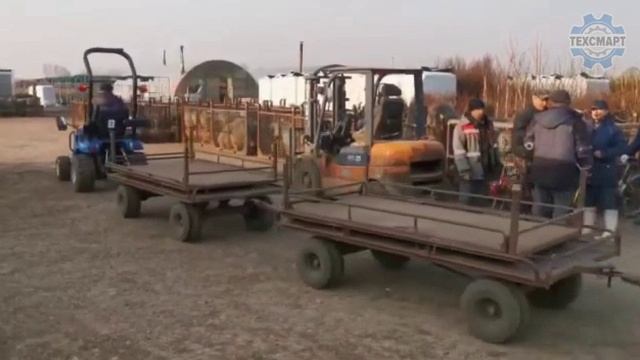 Трактор LS в питомниках смотреть онлайн