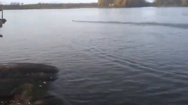 Gladiator Brushless Carbon Fiber Racing Boat 555mm смотреть онлайн