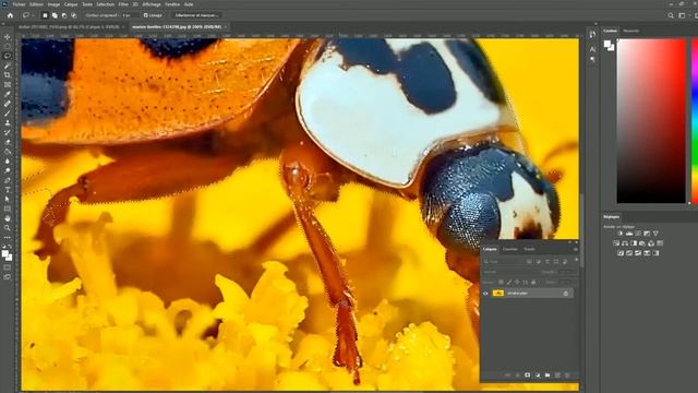 Adobe PhotoShop : Les outils lasso libre et lasso polygonal смотреть онлайн