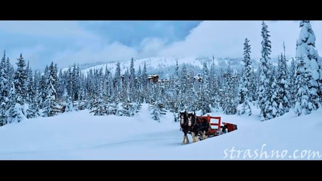 Мистические истории моей бабушки смотреть онлайн