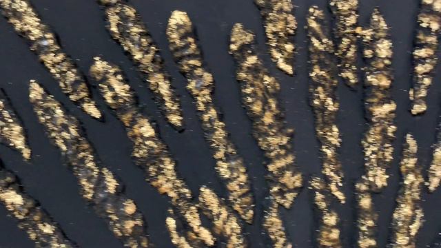 Картина "Золотая Душа" смотреть онлайн