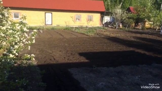 Потеряли урожай картофеля! Борьба с проволочником. смотреть онлайн