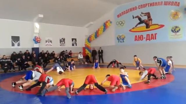 Спортивный зал борьбы АЮ ДАГ в с.Журавки смотреть онлайн