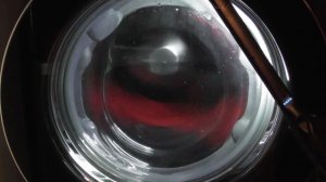 LG AiDD Steam Washer, Jeans 40 cycle with Rinse+ and 1400 spin (Requested) (Downloaded)