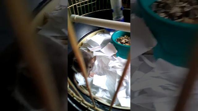 Нужно мыться каждый день смотреть онлайн