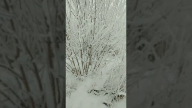 Снежная сказка • Гуляем по снежному городу • Красооота • смотреть онлайн