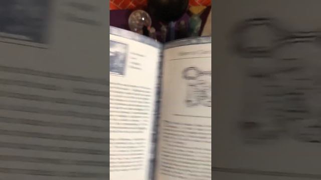 The Druid Animal Oracle Unboxing and Flip Through смотреть онлайн