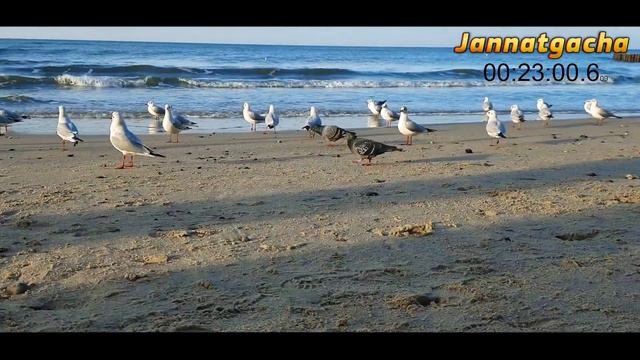 Талоқ бериш мумкин бўлган холат°Абдуллох Домла°Abdulloh Domla°Ilmnuri