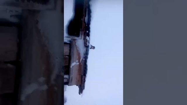 Вот как надо делать сальто