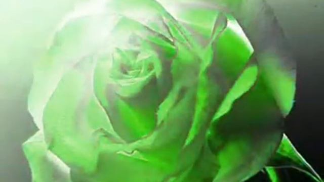 video realizzato da Teresa смотреть онлайн