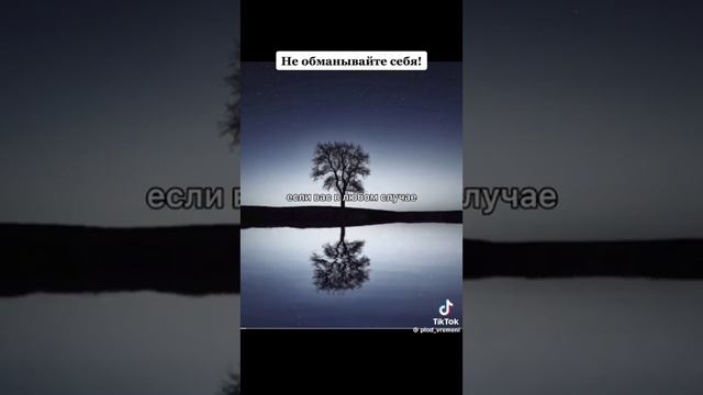 НЕ ОБМАНЫВАЙТЕ СЕБЯ. смотреть онлайн