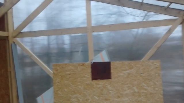 Репортаж из курятника. Или из теплицы?