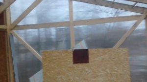 Репортаж из курятника. Или из теплицы?