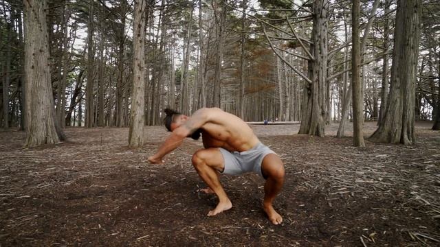 5 Primal Movements you NEED to do смотреть онлайн