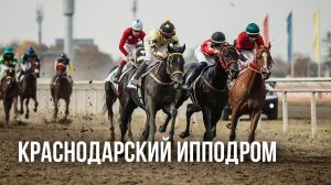 Краснодарский Ипподром // Скачки в стиле Джаз