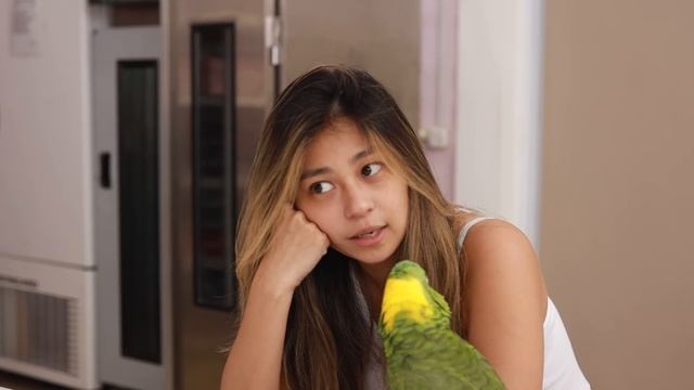 Jacqueline's Sanctuary | QNA Sasha Dari Netizen Budiman.. смотреть онлайн