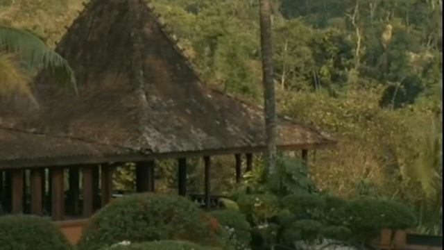 Рассказ про самый дорогой кофе в мире Копи Лювак смотреть онлайн