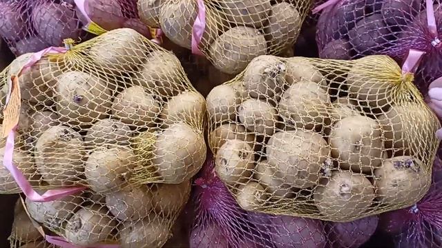 Семенной картофель поступил в продажу.м-ДАЧА г.Каменск-Уральский.22 апреля 2023 г. смотреть онлайн
