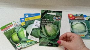 Лучшие сорта белокочанной капусты для длительного хранения. 10.03.2023