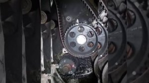 замена ремня ГРМ АУДИ А4