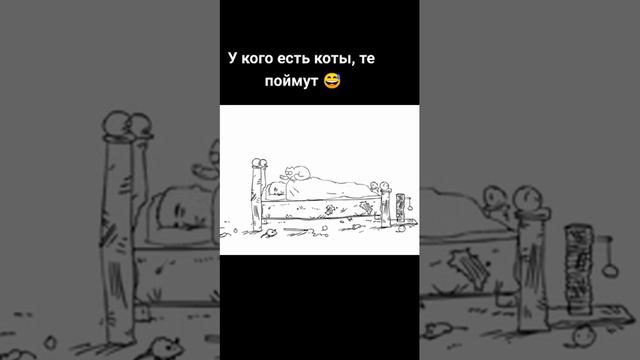 Утро тех, у кого есть коты смотреть онлайн