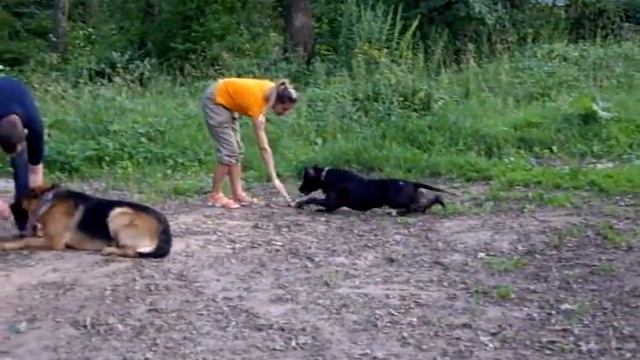 ОКД смотреть онлайн