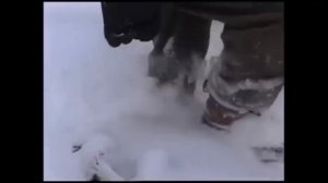 По имени Север-Олег Альпийский,Елена Светлая сл О Альпийский,муз Н Бронников