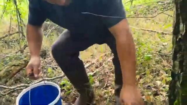 КУПИЛИ ДОМ, ХУТОР ПОСРЕДИ ДЕРЕВНИ у БОЛОТА и ОСТАВИЛИ ГОРОД! СБОР ГРИБОВ. смотреть онлайн